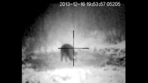 Ночной прибор Pulsar 770A - проверка на 100 м