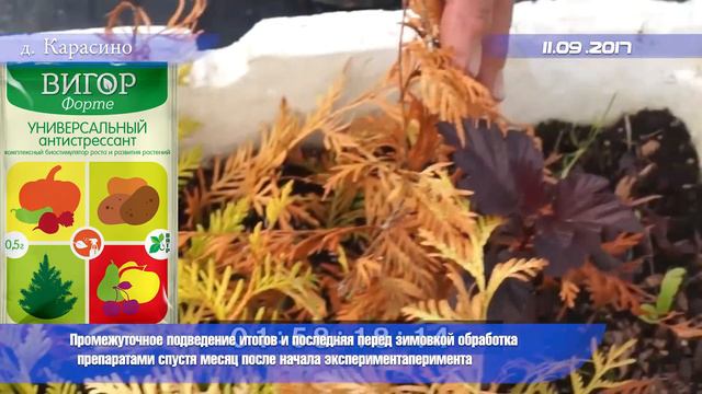 Удобрения для декоративных растений, часть 1 смотреть онлайн