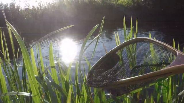 Как поймать голавля на малой реке. Простейшая уловистая снасть "голавль-мах". смотреть онлайн