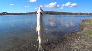 Рыбалка в Крыму с берега, Симферопольское водохранилище 2022