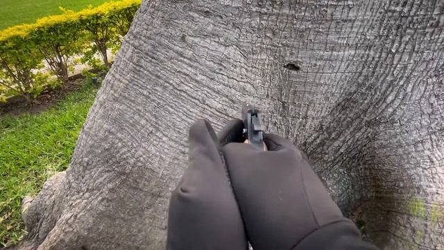 Derringer LCG смотреть онлайн