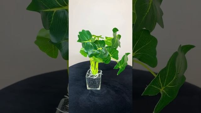 Искусственные растения в кашпо из стекла смотреть онлайн
