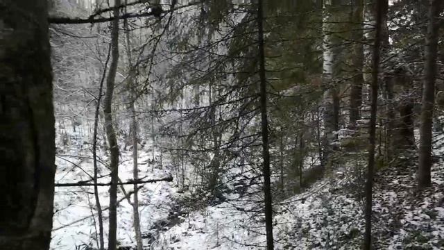 Пошел в лес за чагой смотреть онлайн