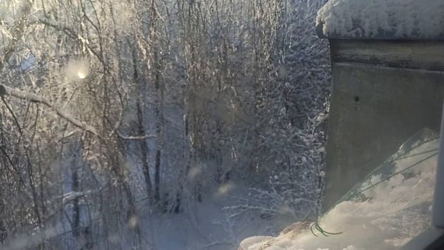 Мороз, синички, солнце и узоры на окне смотреть онлайн