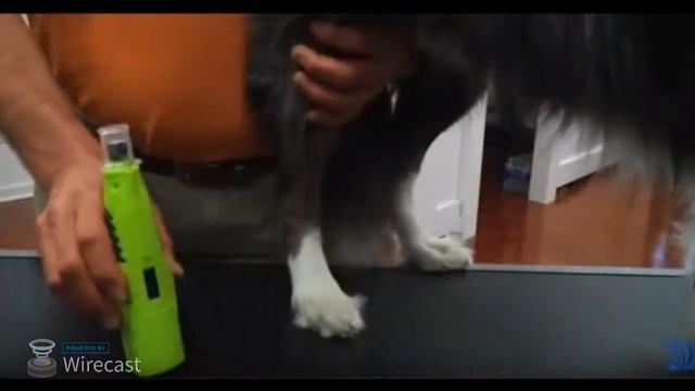 furminator dog nail grinder review