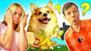 Собака разбросала мусор! Кто будет убираться? Смешное видео для детей с корги