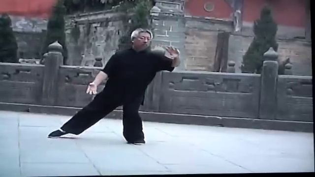 Yang Style Tai Chi 108 Form 3 of 3 смотреть онлайн