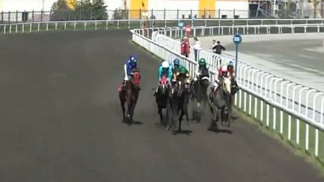 Скачка на Кубок Республики Башкортостан смотреть онлайн