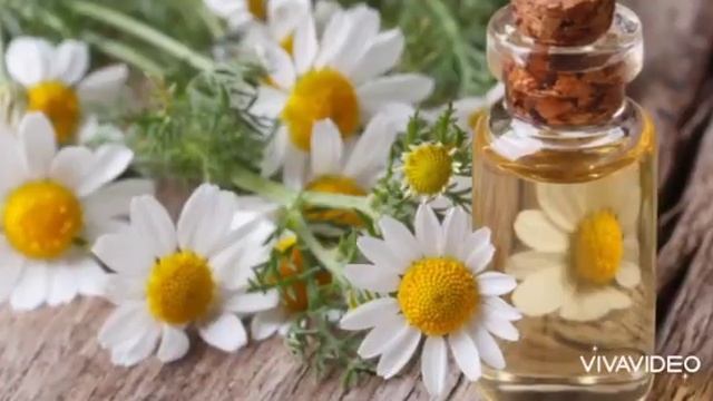 КРЕМ ДЛЯ СУХОЙ КОЖИ смотреть онлайн