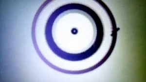 Тайная жизнь домашних  животных 1