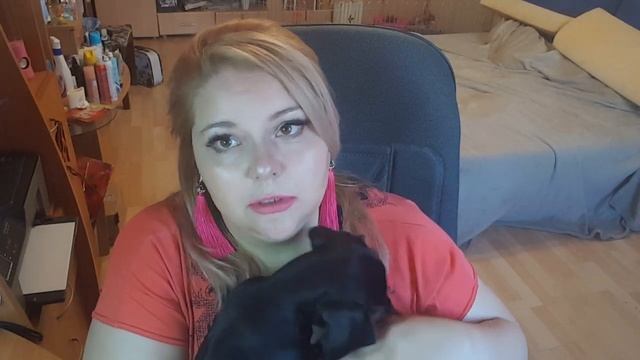 Щенки таксы 2.5 месяца. Сложности и радости. Моя такса. смотреть онлайн