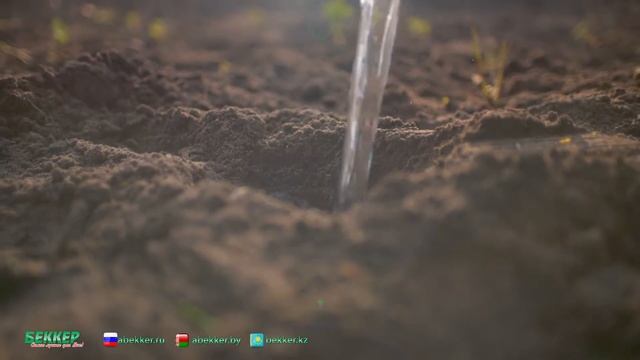 Земляника – лучшие сорта в любых условиях на - Беккер смотреть онлайн