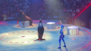 КОРОЛЕВСТВО - Большой Московский ЦИРК  - Moscow Great CIRCUS (Kingdom)