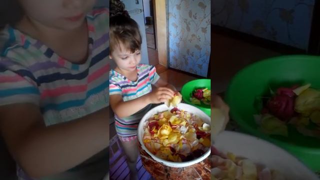 Даша и варенье из лепестков роз смотреть онлайн