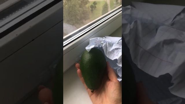 Уютная Кухня