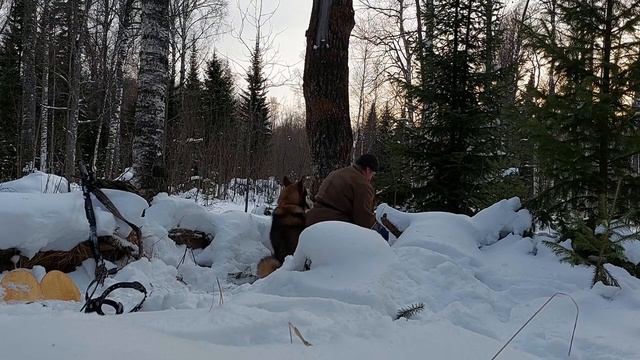 охота на соболя осень 21г смотреть онлайн