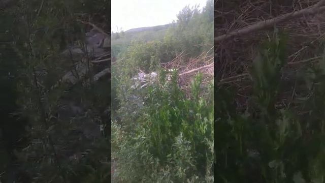 Бугуруслан мусор около дома смотреть онлайн