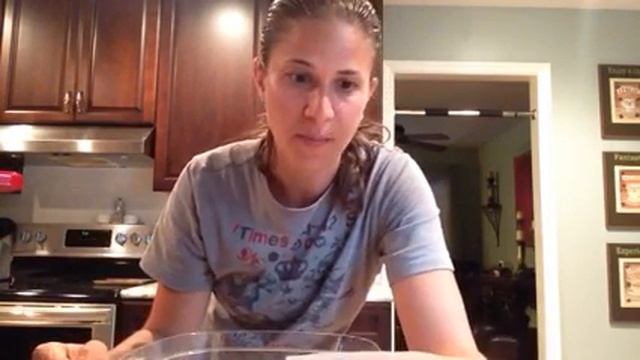 How to EAT on $2 a day- FOOD PREP-Delicious Italian Vegetable Lentil Soup