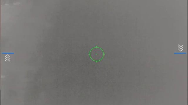 1st Hog Hunt Pulsar Thermion XP50 смотреть онлайн