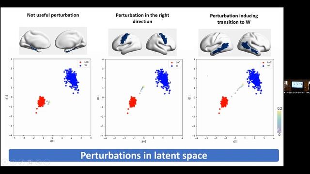 Y. Sanz-Perl - Viewing perturbations of conscious states using whole-brain models combined with VAE смотреть онлайн