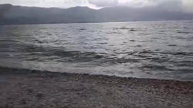 Чёрное море Новороссийск смотреть онлайн