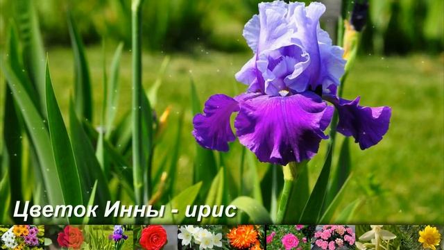 ЦВЕТОК ВАШЕГО ИМЕНИ смотреть онлайн