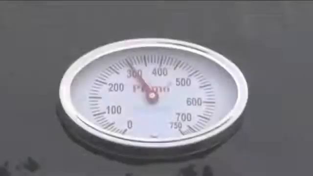 Процесс приготовления на керамическом угольном гриле Primo смотреть онлайн