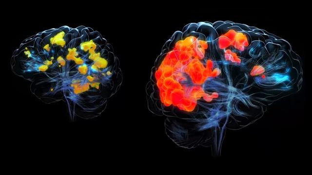 Visual Cortex Activation. 3D animation for holographic projection смотреть онлайн