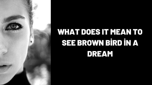 What Does It Mean To See Brown Bird in a Dream? смотреть онлайн
