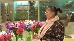 37 сортов флоксов представлено на выставке в Вологодском кремле