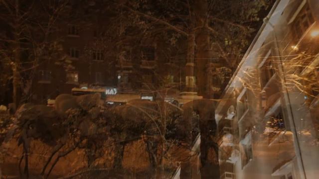 Прогулка по зимнему Академгородку смотреть онлайн