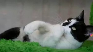 Это видео с Малышом с канала А ну-ка Давай-ка. Напишите в комментариях с кем вам снять видео