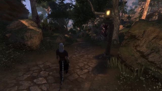 ЭТО ПОЗОР! | ЧТО НЕ ТАК С БОЕВКОЙ ТЕСО | TESO | ESO