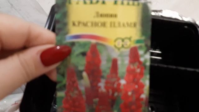 VLOG./Продуктовые покупки/Панно на стену/Сажаю семена цветов/ смотреть онлайн