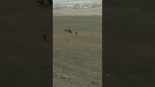 Кок боору доболудо