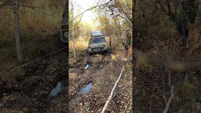 Как ведёт себя Нива4х4 дизель 1.5 ВАЗ, гружённая по тайге. Дальний Восток. смотреть онлайн