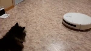 робот пылесос ругается матами