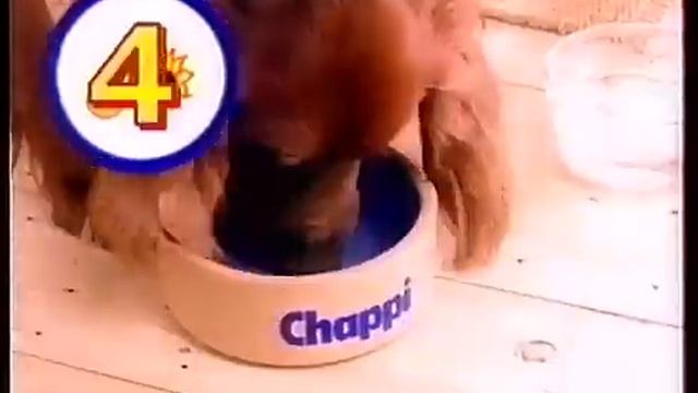 Реклама РТР декабрь 1998 Sony Долина Chappi Гинсана смотреть онлайн