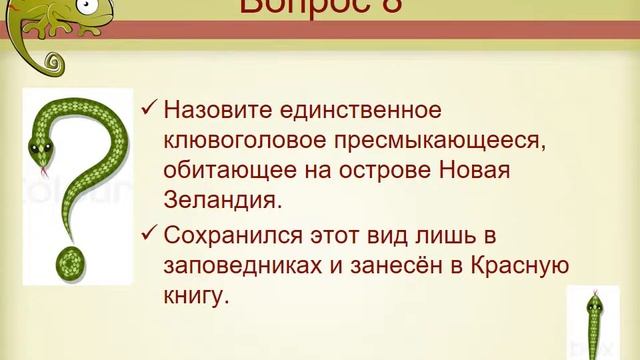 МБОУ «СОШ № 14». Игра «Экологический серпантин» смотреть онлайн