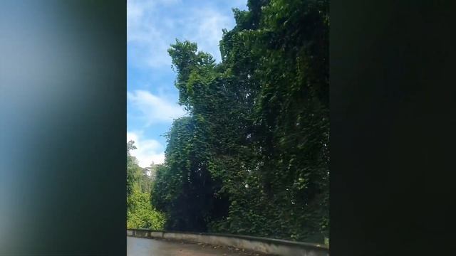 Дороги на Сейшелах - Seychelles Roads.