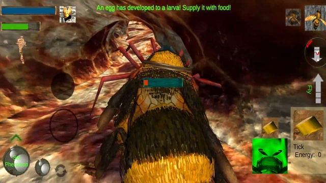 Bee Nest Simulator 3D - Insect and 3d animal game Android Gameplay смотреть онлайн