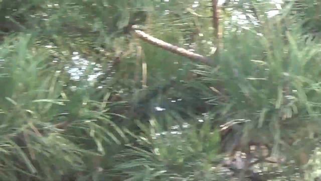 Рождество в Ильичёвске 07.01.14 Отличная весенняя погода смотреть онлайн