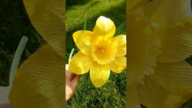 Желтый нарцисс из гафро бумаги смотреть онлайн