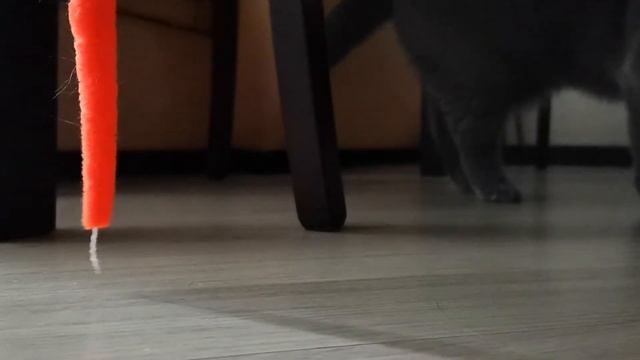 Чита брита?Игривое настроение?Засекла телефон?Кошкин дом?Алиса и Боня?Alice and Bonita смотреть онлайн