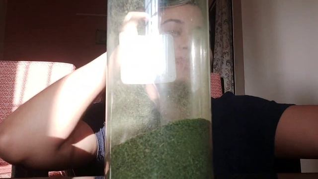 MORINGA MAGIC - Benefits & Usage of Moringa Leaves смотреть онлайн