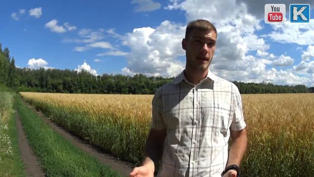 Как не тратить время впустую? смотреть онлайн