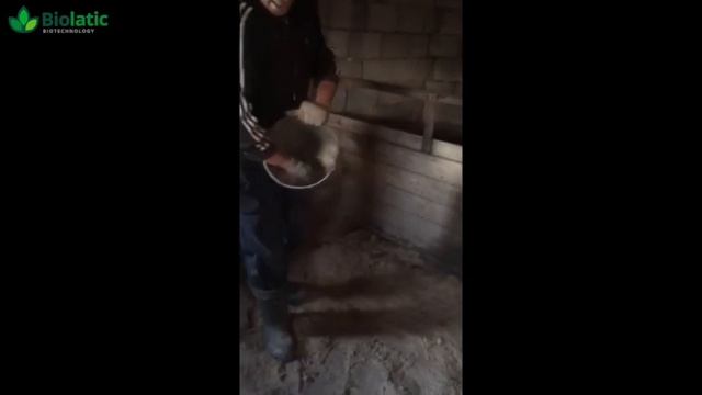 Бактерии для подстилки Отзыв и Запуск Биолатик (Biolatic) №9 ЛПХ Челябинская обл., с. Фершампенуаз смотреть онлайн