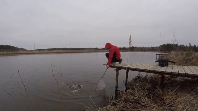 Ловим форель на платнике с Александром Коршуновым. смотреть онлайн