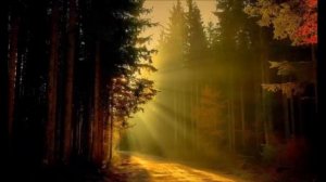 Притча про обиды