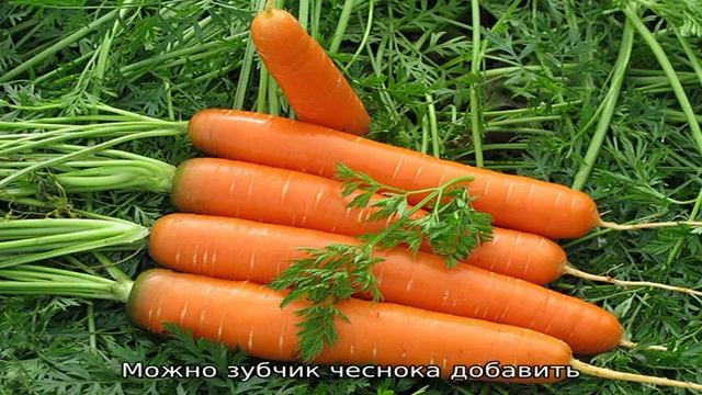 Салат с шампиньонами и фасолью смотреть онлайн